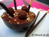 Mousse au chocolat de dingo de Christophe Michalak