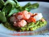 Saumon et gambas en tartare, agrumes et mousse d’avocat