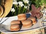 Macarons cacao et praliné { recette pour combattre l'othorexie}