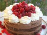 Naked cake tout chocolat