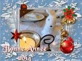 Bonne Année 2014