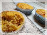 Muffins moelleux aux abricots sans gluten et sans lactose