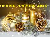 Bonne année 2015