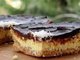 Bounty cheesecake (cheesecake à la noix de coco et au chocolat)