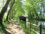 Canal du Midi en vélo entre Toulouse et Castelnaudary : adresses gourmandes au pays du cassoulet