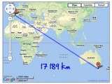 L’oignon de Tasmanie qui nous fait pleurer : 17189 km parcourus jusqu’aux étals de nos supermarchés