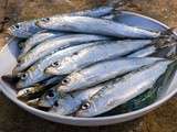 Sardines farcies aux herbes fraîches