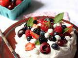 Pavlova aux fruits rouges