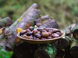 Réussir les marrons chauds ou châtaignes grillées