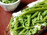 Tartine de brebis, pesto aux épinards et ornithogales