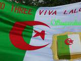 Drapeau de l' Algerie en Pate a Sucre