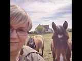 ❤️ Flânerie printanière 🌸🌱chez les chevaux 🐎🐴