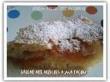 Gâteau aux abricots