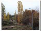 Paysages d'automne - suite