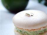 Macaron mojito