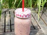 Smoothie douceur aux nectarines et melon