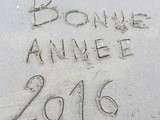 Bonne année 2016