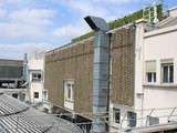 Fraises sur le toit des Galeries Lafayette