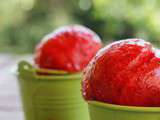 Sorbet Fraise-Basilic