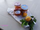 Confiture d'Abricots Cook expert