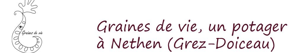 Recettes de Graines de vie