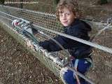 Accrobranche au Davy Crockett parc testé et approuvé par le ouisiti