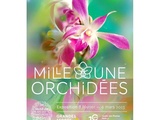 1001 Orchidées aux Grandes Serres du Jardin des Plantes avec Stéphane Marie