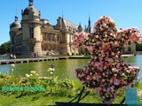 10ème Anniversaire des Journées des Plantes de Chantilly