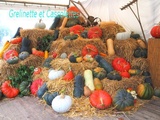 Acheter Courges, Potirons, Citrouilles à la Fête des Plantes de Saint Jean de Beauregard