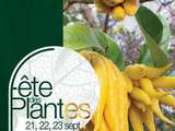 Agenda : Fête des Plantes d'Automne de Saint Jean de Beauregard