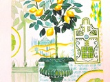 Aquarelle du Citronnier furtif et Oolong Citrons de Dammann Frères