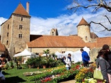 Ateliers d'Aquarelle Végétale Zen au Château de Blandy les Tours