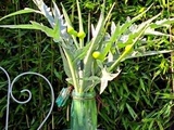 Bouquets du Moment : Fleurs de Poireau