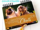 Calendrier des Amoureux des Chats 2018