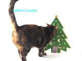 Calendrier Ultima pour les Chats, suite, la Case 6