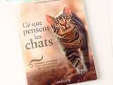 Ce que pensent les Chats, docteur Brigitte Rauth Widmann