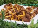 Chanterelles : les cueillir, les acheter, les cuisiner