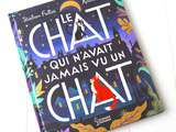 Chat qui n'avait jamais vu un Chat, Stéphane Frattini, Antonin Faure