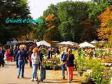 Fête des Plantes d'Automne du Domaine de Saint Jean de Beauregard Suite