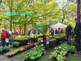 Fête des Plantes de Saint Jean de Beauregard : l'Anniversaire des 35 ans