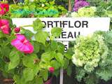 Hortiflor Bureau à la Fête des plantes de Saint Jean de Beauregard