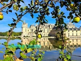 Journées des Plantes de Chantilly : La Magie des Couleurs d'Automne