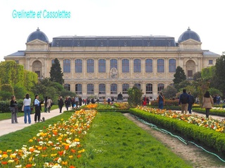 L'Orange du Marchand au Jardin des Plantes de Paris