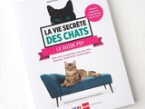 Vie Secrète des Chats : Le Guide Psy