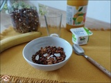 Granola maison (version 2)