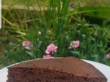 Gâteau au chocolat et framboises