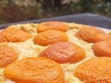 Moelleux avoine et abricots