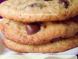 Cookies au chocolat à la noix de coco et à l’avoine