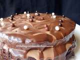 Devil’s food cake