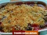 Crumble abricots cerises aux pépites de chocolat